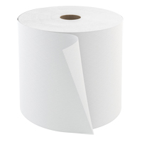 Chiffons haute performance Pro Tuff-Job, Robuste, 10" lo x 13" la Cantin et fils