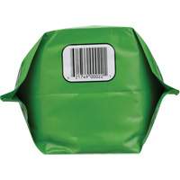 Nettoyant pour les mains biod&eacute;gradable, Poudre, 4,5 lb, Pochette, Sans parfum Cantin et fils