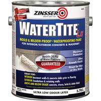 Watertite&reg; LX Mold & Mildew-Proof Waterproofing Paint, 3.78 L, Gallon, White Cantin et fils