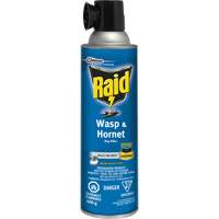 Insecticide contre les gu&ecirc;pes et les frelons Raid, 400 g, &agrave; base de solvant Cantin et fils