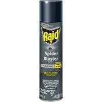 Insecticide exterminateur daraign&eacute;es Raid, 350 g, Canette a&eacute;rosol, &agrave; base de solvant Cantin et fils