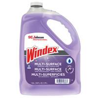 Nettoyant multi-surface non ammoniac&eacute; de Windex, 3,8 L, Cruche Cantin et fils