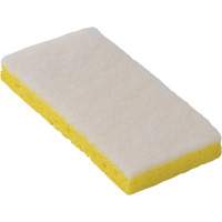 &eacute;ponge &agrave; r&eacute;curer pour travaux l&eacute;gers 745W, 6-1/4" lo x 3-1/5" la Cantin et fils