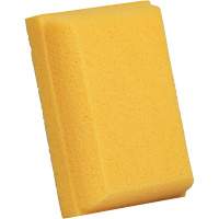 &eacute;ponge &agrave; coulis, Coulis, 5" la x 7" l Cantin et fils
