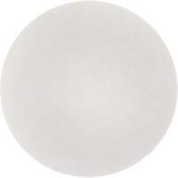 Carpet Bonnet Pad, 19", Cleaning, White Cantin et fils