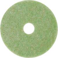 Natural Blend Pad, 12", Scrubbing, Green Cantin et fils