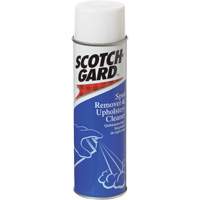 D&eacute;tachant pour tapis et nettoyant pour meubles rembourr&eacute;s, 17 oz, Canette a&eacute;rosol Cantin et fils