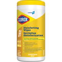 Lingettes d&eacute;sinfectantes, 75 lingettes Cantin et fils