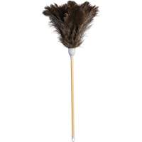 Plumeau de qualit&eacute; sup&eacute;rieure, Plume d'autruche Cantin et fils
