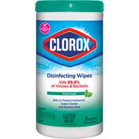 Lingettes d&eacute;sinfectantes, 75 lingettes Cantin et fils