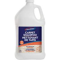 Shampooing pour tapis Concrobium, 3,78 L, Cruche Cantin et fils