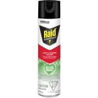 Insecticide pour araign&eacute;es et fourmis Essentials Raid, 350 g, Canette a&eacute;rosol Cantin et fils