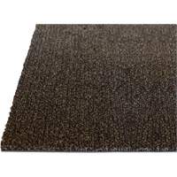 Palliser Indoor Matting, Wiper/Scraper, 3-1/2' x 6' x 5/16", Anglis Cantin et fils