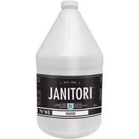 Janitori 01 Window Cleaner, 4 L, Jug Cantin et fils