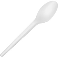 CPLA Compostable Spoons Cantin et fils