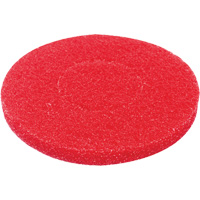 Floor Pad, Polish, Red Cantin et fils