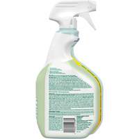 CloroxPro Clorox EcoClean Disinfecting Cleaner, 946 ml, Trigger Bottle Cantin et fils