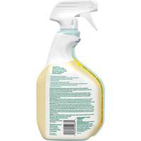 CloroxPro Clorox EcoClean All-Purpose Cleaner, 946 ml, Trigger Bottle Cantin et fils