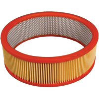 Antimicrobial Vacuum Secondary Filter, Hepa Cantin et fils