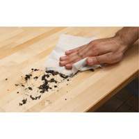 Lingettes nettoyantes emball&eacute;es individuellement, 12 lingettes, 8" x 9-1/2" Cantin et fils