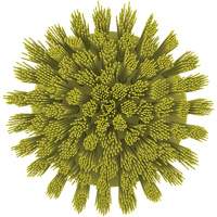 HyDrive Round Drill Brush, Extra Stiff Bristles, 3-1/10" Long, Yellow Cantin et fils