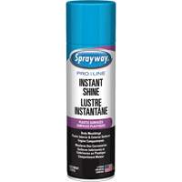 Pro Line Instant Shine for Plastic Surfaces, 11 oz., Aerosol Can Cantin et fils