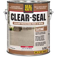 Produit d&eacute;tanch&eacute;it&eacute; protecteur Seal-Krete, 3,78 L, &agrave; l'ur&eacute;thane, Satin, Transparent Cantin et fils