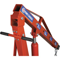 Grues d'atelier escamotables de 2 tonnes, Capacit&eacute; 4000 lb (2 tonnes) Cantin et fils