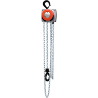 Hurricane 360° Chain Hoist, 10' Lift, 1000 lbs. (0.5 tons) Capacity, Steel Chain Cantin et fils