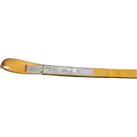 &eacute;lingues de levage en nylon, Pli Double, Oeillets renvers&eacute;s, Type 4, 2" la x 3' lo, Limite de charge verticale 6200 lb Cantin et fils