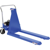 Electric Skid Lift, Steel, 2500 lbs. Capacity Cantin et fils