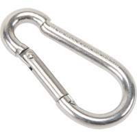 Mousqueton en acier inoxydable, 220 lb (0,11 tonne) Charge d'utilisation max., 3/16" Taille, 5/16" Oeil Cantin et fils