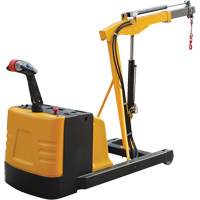 Grue d'atelier &eacute;lectrique, Lev&eacute;e 8,8', 1500 lb (0,75 tonne), 44-1/4" bras, 62-1/4" ha Cantin et fils