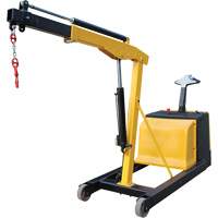 Grue d'atelier &eacute;lectrique, Lev&eacute;e 8,8', 1500 lb (0,75 tonne), 44-1/4" bras, 62-1/4" ha Cantin et fils