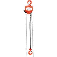 Chain Hoist, 20' Lift, 10000 lbs. (5 tons) Capacity, Alloy Steel Chain Cantin et fils
