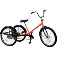 Mover Tricycles