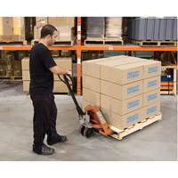 Heavy-Duty Manual Pallet Truck, Steel, 48" L x 27" W, 5500 lbs. Capacity Cantin et fils