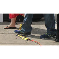 Syst&egrave;me de protection de c&acirc;bles Ultra-Sidewinder - petit , 13,125" x 3" x 0,75", 32000 lb (16 tonnes) Cantin et fils