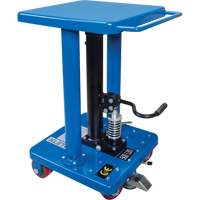 Table de travail hydraulique, 18'' lo x 18'' la, Acier, Capacit&eacute; 500 lb Cantin et fils
