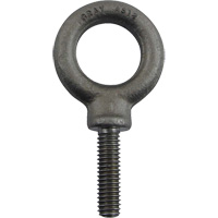 Boulon &agrave; oeil en acier alli&eacute;, 1" dia, 1-1/4" lo, 1480 lb (0,74 tonnes)/1480 lb capacit&eacute; Cantin et fils