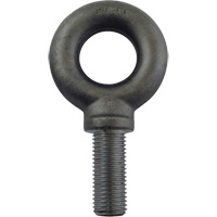 Boulon &agrave; oeil en acier alli&eacute;, 2-1/2" dia, 3-1/2" lo, 26600 lb (13,3 tonnes)/26600 lb capacit&eacute; Cantin et fils