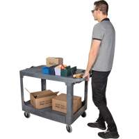 Flat-Shelf Utility Service Cart, 2 Tiers, 25-1/4" x 32-1/4" x 44", 550 lbs. Capacity Cantin et fils