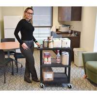Chariot utilitaire &eacute;lectrique, 3 tiers, 24" x 42" x 18", Capacit&eacute; 300 lb Cantin et fils