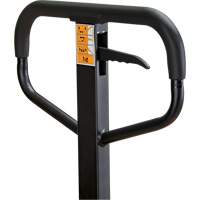 Manual Pallet Truck, Steel, 48" L x 21" W, 5500 lbs. Capacity Cantin et fils