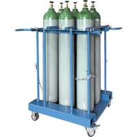 6-Cylinder Forklift Cylinder Storage Caddy Cantin et fils
