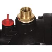 AQUINNA Cordless Water Pump (Tool Only), 36 V, 792 GPH Cantin et fils