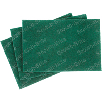 Tampons manuels Scotch-Brite, 9" lo x 6" la Cantin et fils