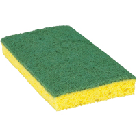 &eacute;ponge &agrave; r&eacute;curer pour travaux moyens Scotch-Brite, &agrave; r&eacute;curer, 3-3/5" la x 6-1/10" l Cantin et fils