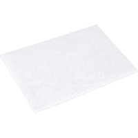 Tampons manuels Scotch-Brite, 9" lo x 6" la Cantin et fils