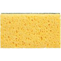&eacute;ponges utilitaires, Cellulose, 6" la x 3-1/2" l Cantin et fils